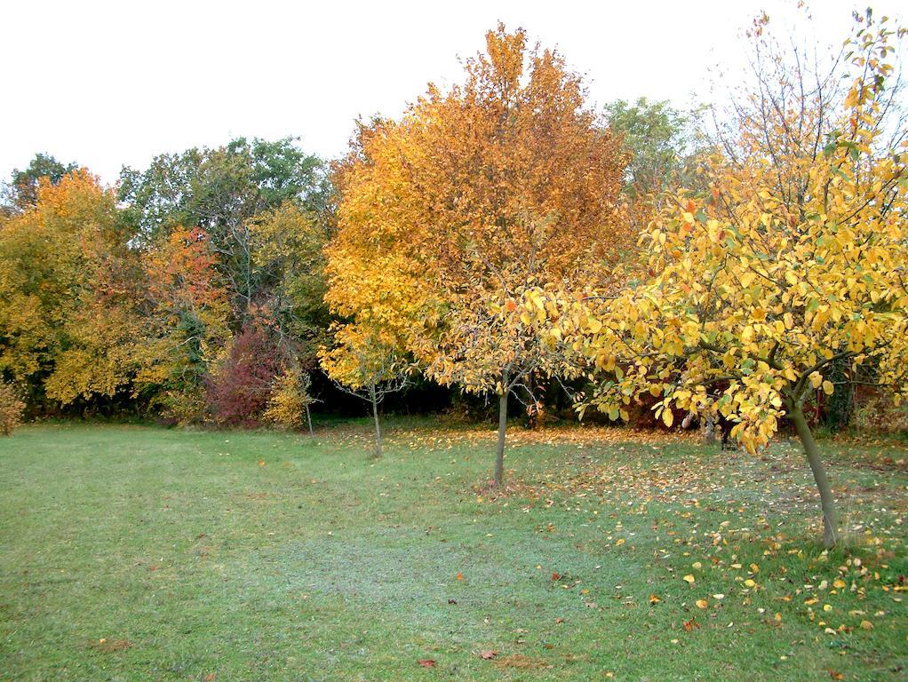 La Roseraie Neuville-de-Poitou Luaran gambar